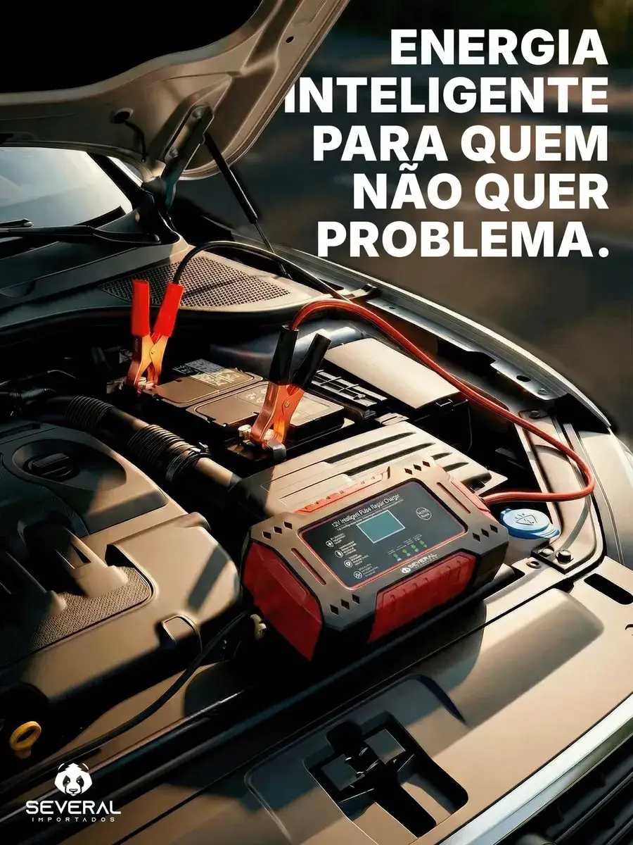 Imagem da galeria